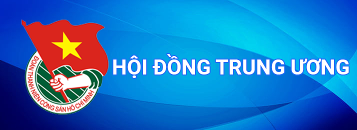 Hội đồng Đội Trung ương 